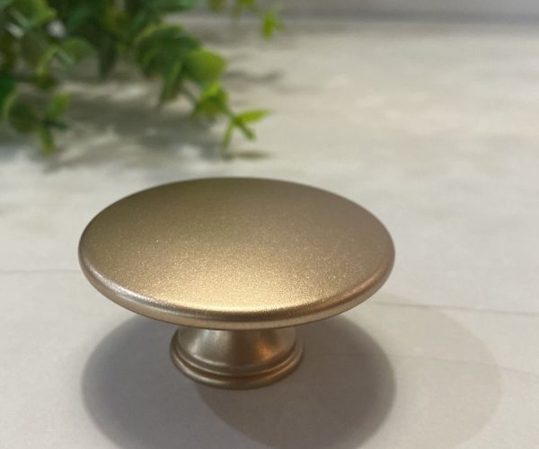 201 Tucson Dourado