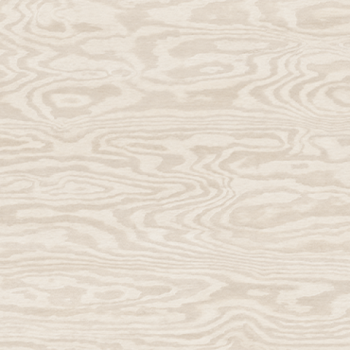 BETULA
