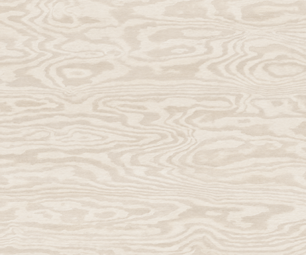 BETULA