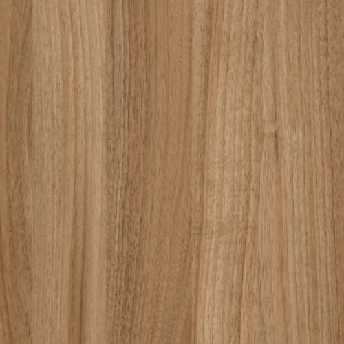 NOGUEIRA BOREAL
