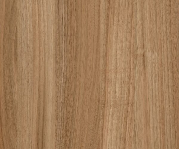 NOGUEIRA BOREAL