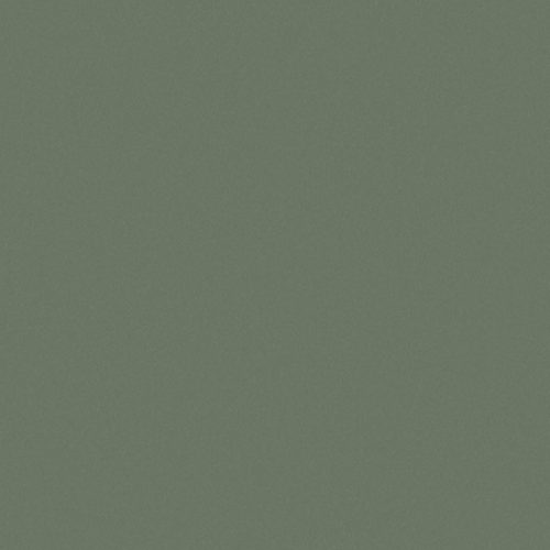 VERDE FLORESTA