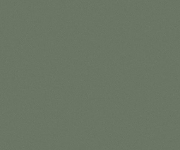 VERDE FLORESTA