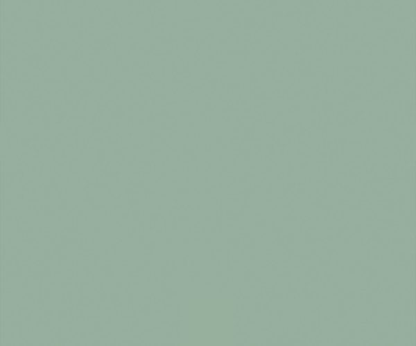 VERDE JADE_MATT_CHAPA FULL
